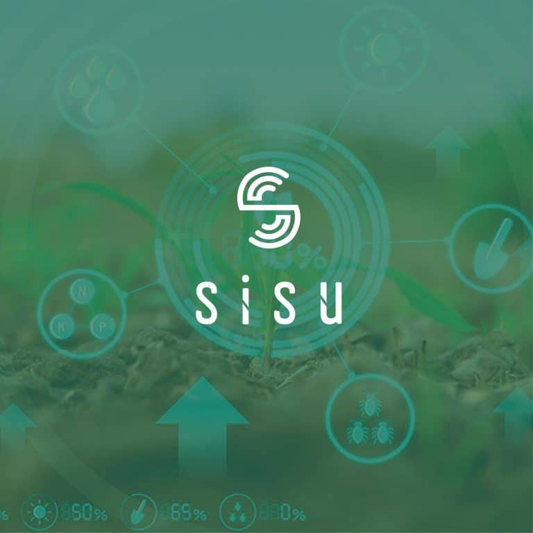 Sisu Logo & Identity Design